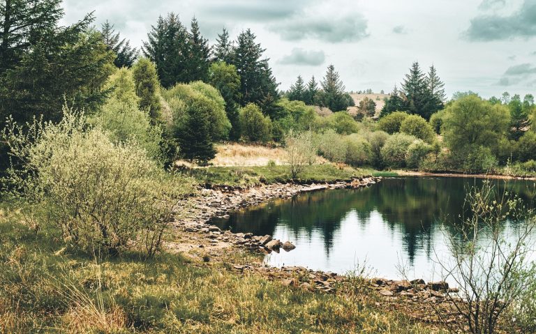 England, Image by Alan Frijns from Pixabay