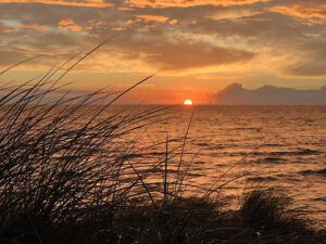 dusk by bob